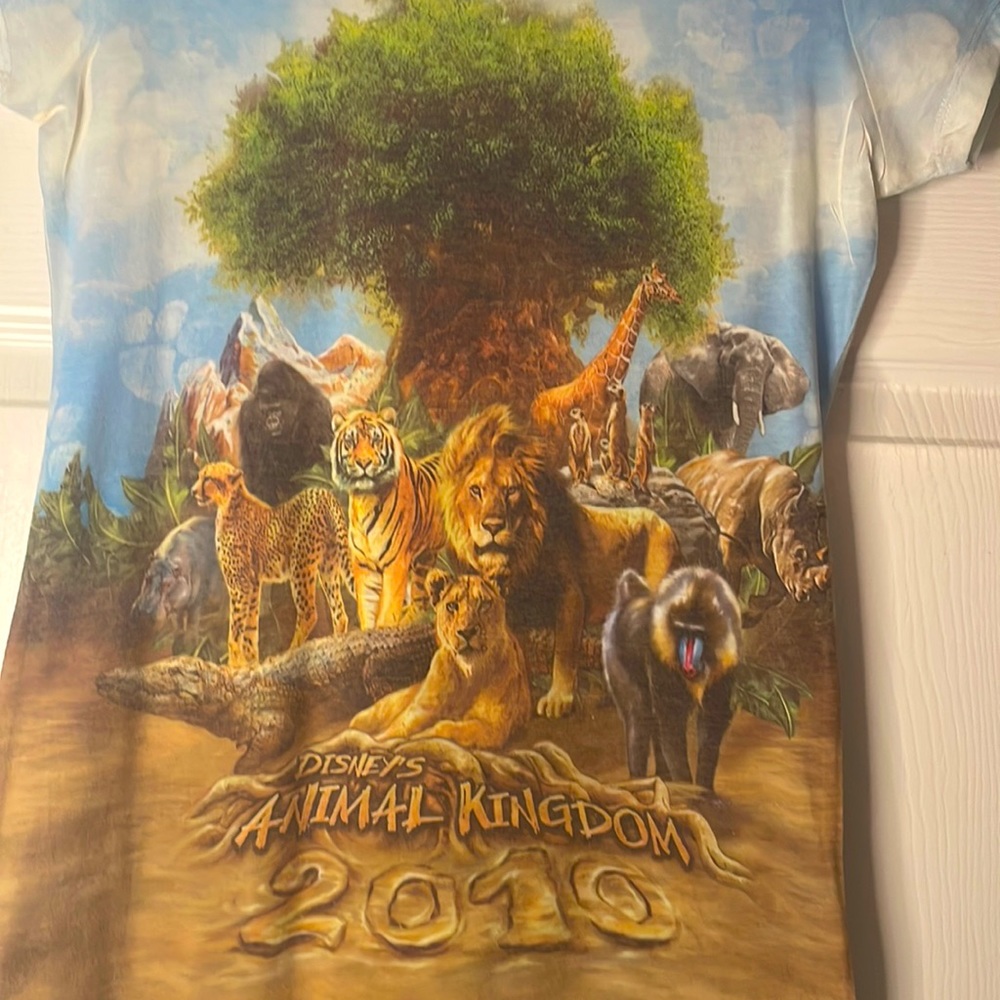 Disney’s Animal Kingdom 2010 Graphic Tee 🐆🦓🐘